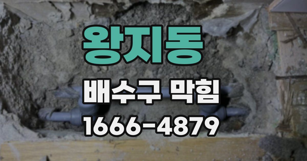 왕지동 배수구 막힘