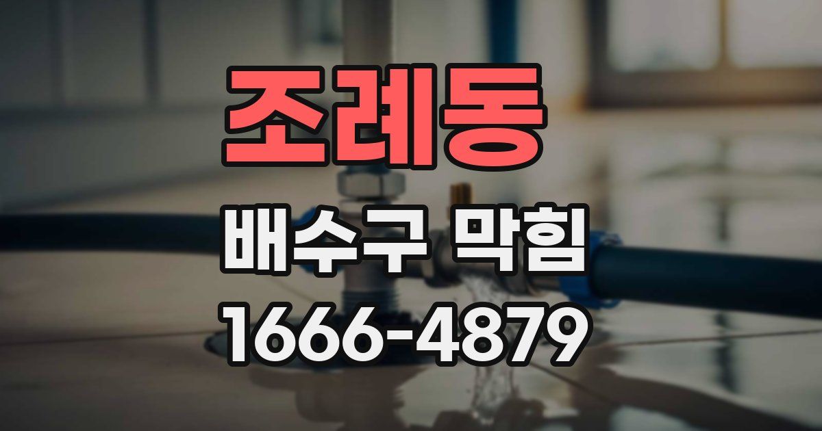 조례동 배수구 막힘