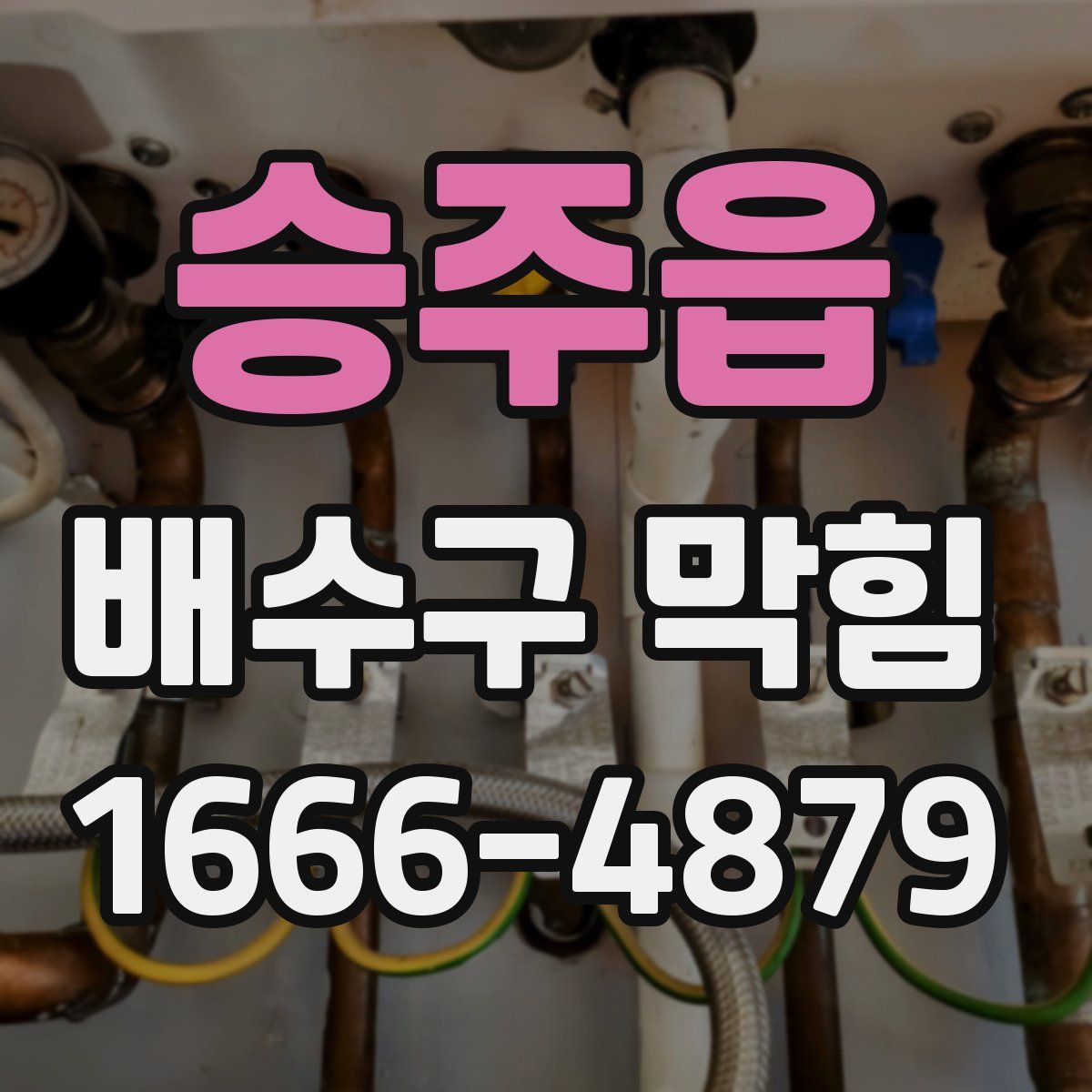 승주읍 배수구 막힘