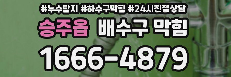 승주읍 배수구 막힘