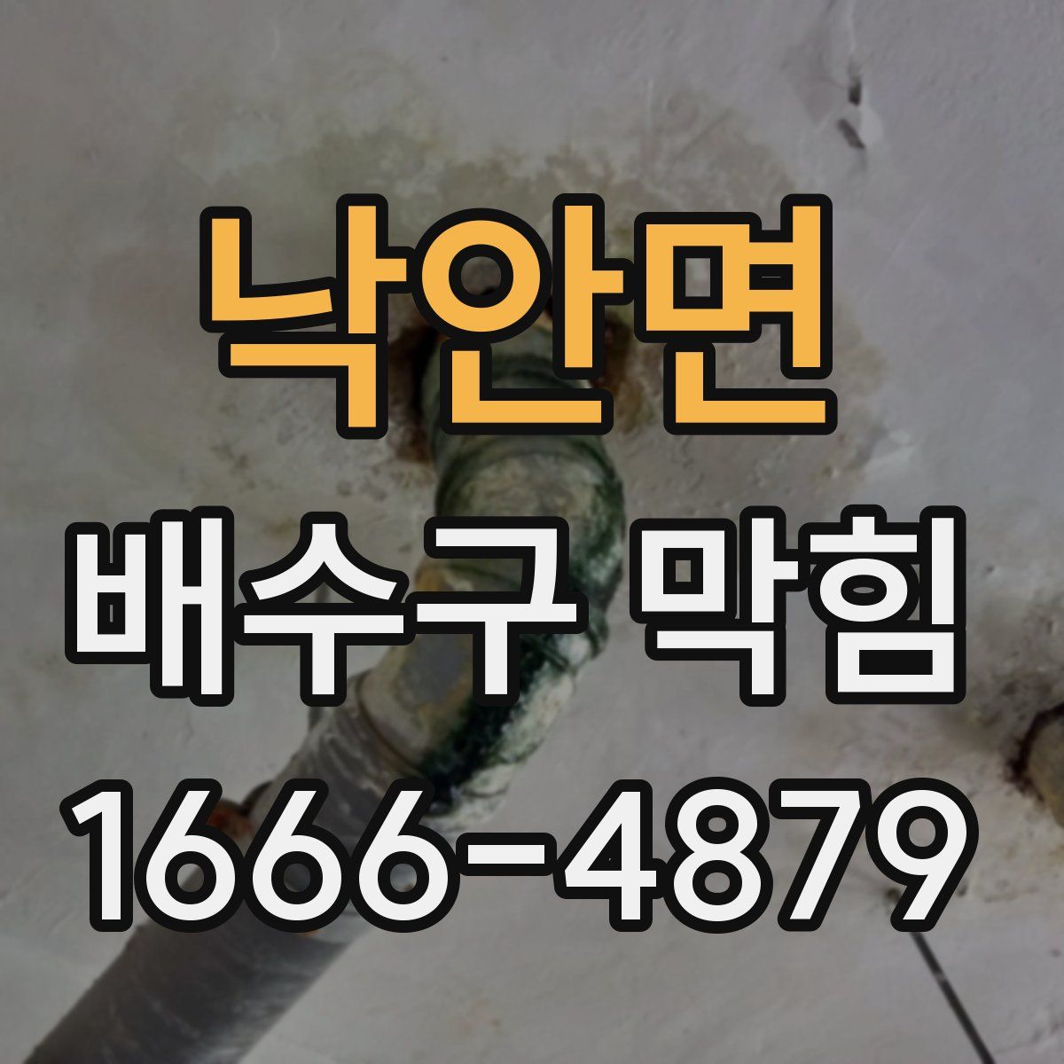 낙안면 배수구 막힘