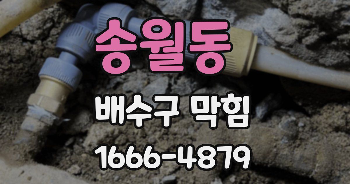 송월동 배수구 막힘
