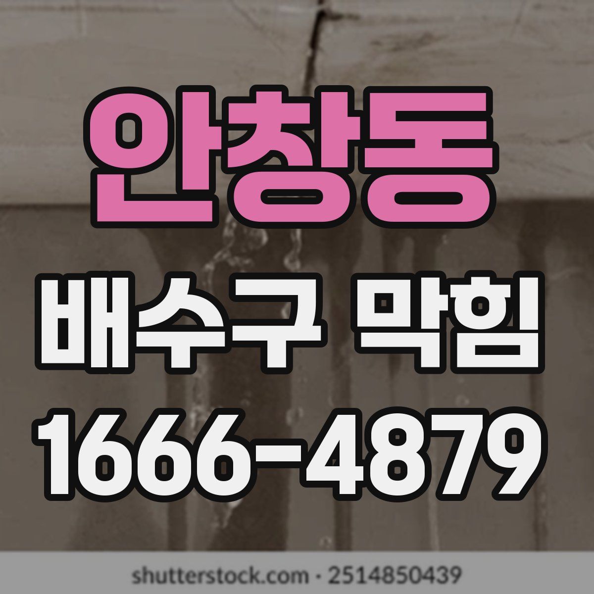 안창동 배수구 막힘