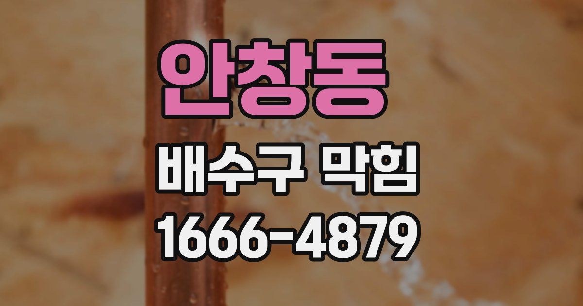안창동 배수구 막힘