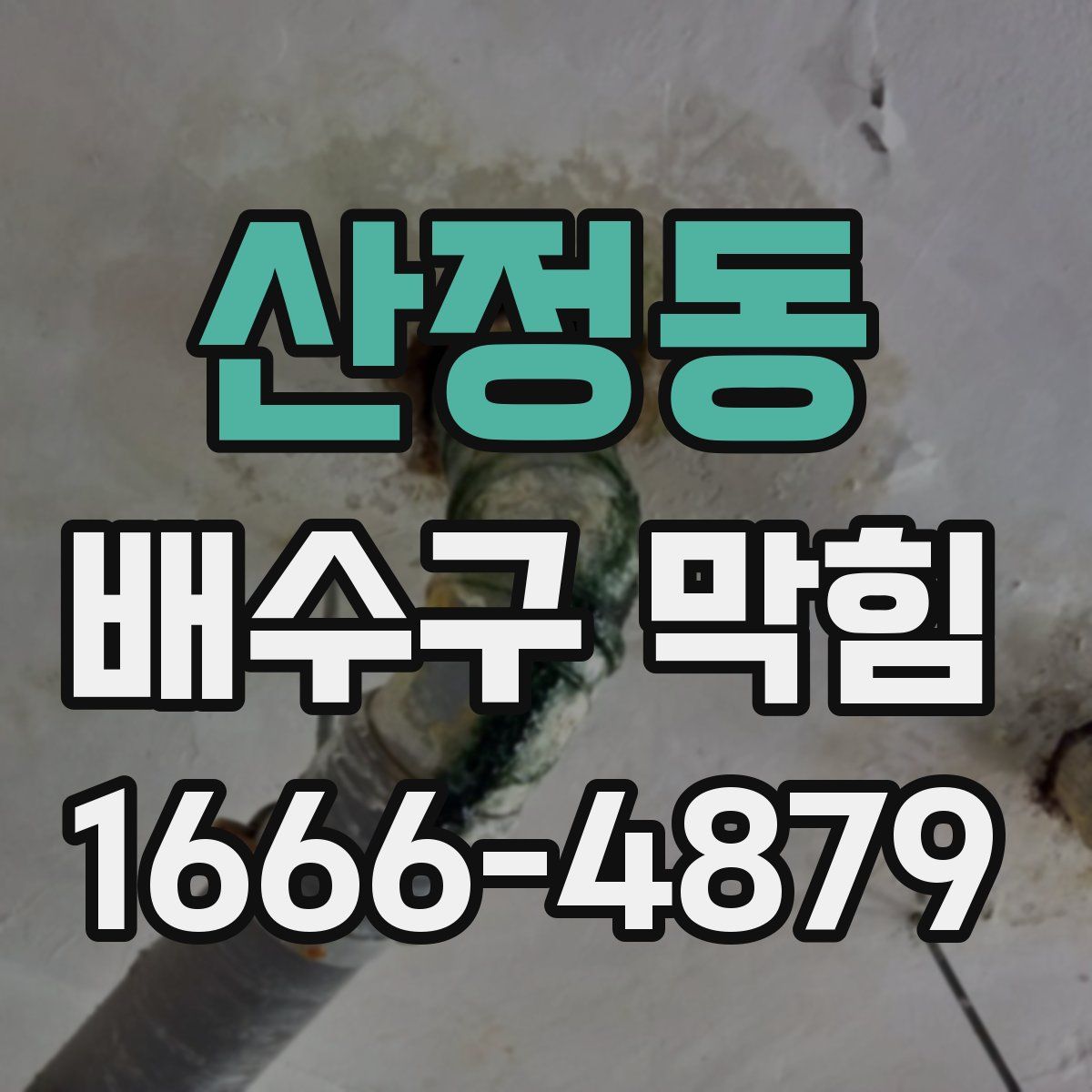 산정동 배수구 막힘