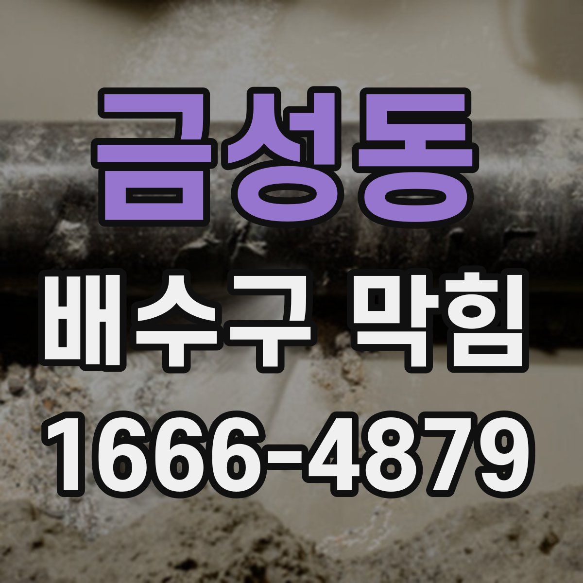 금성동 배수구 막힘