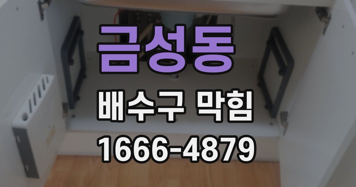 금성동 배수구 막힘