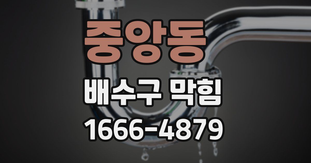 중앙동 배수구 막힘