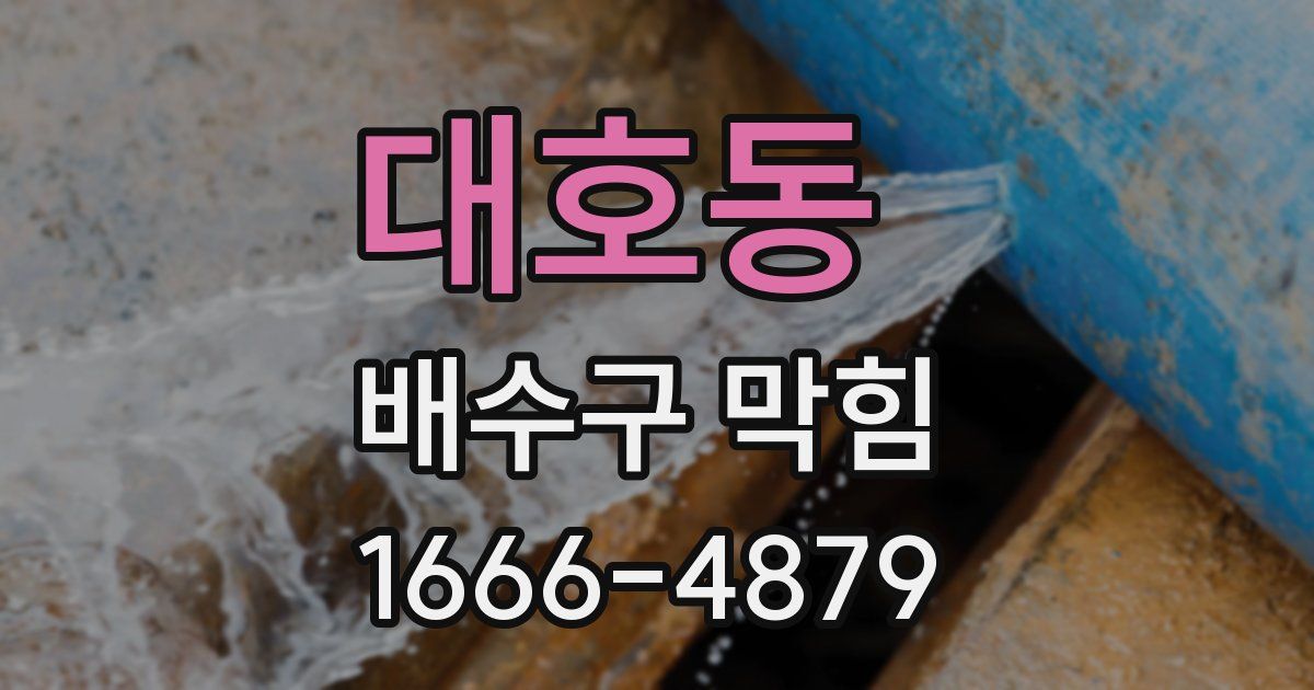 대호동 배수구 막힘