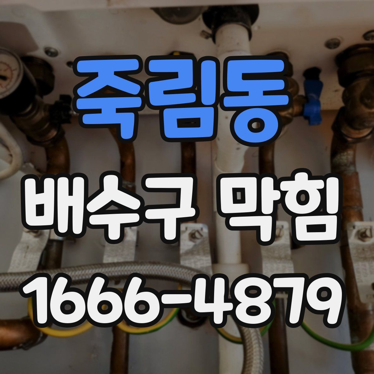 죽림동 배수구 막힘