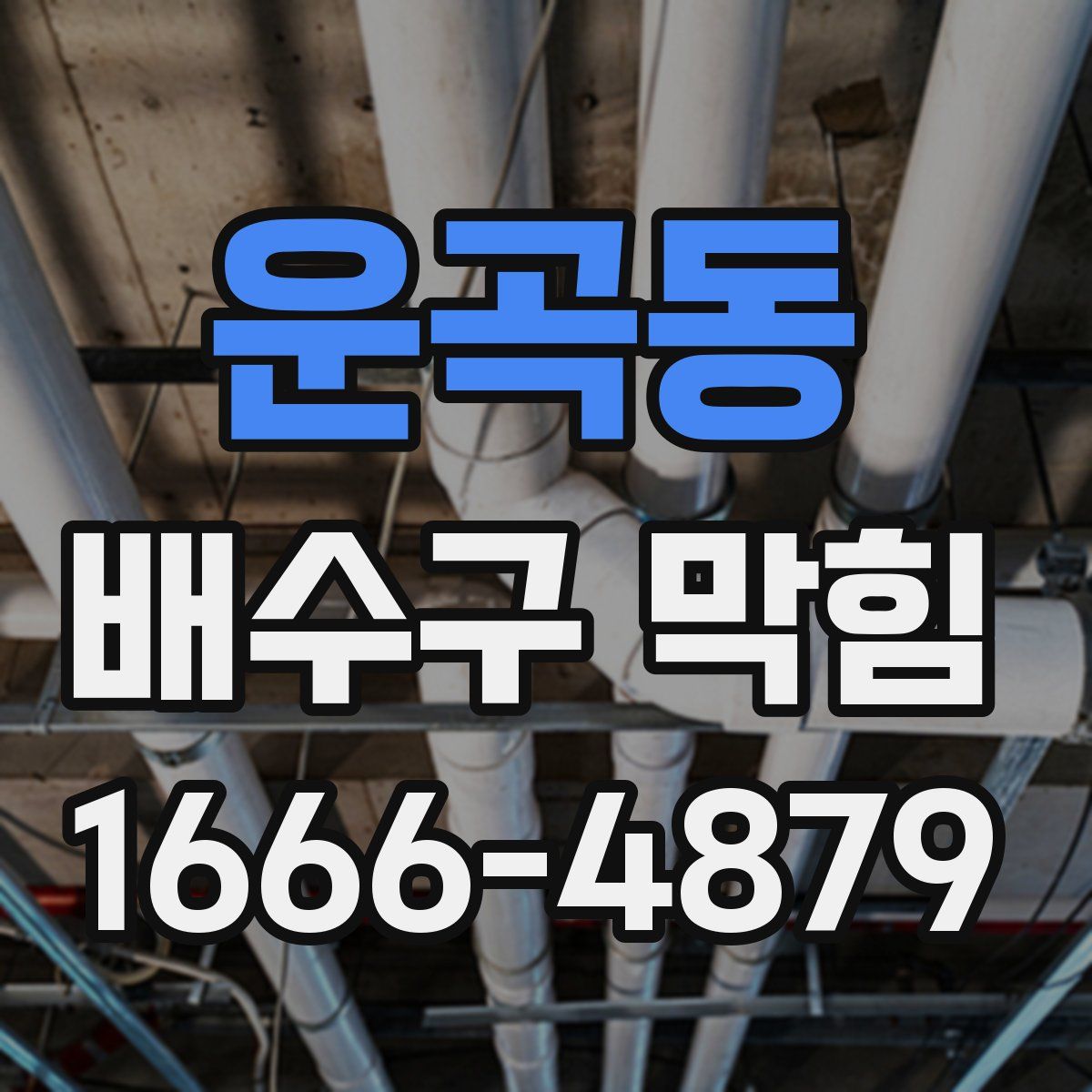 운곡동 배수구 막힘
