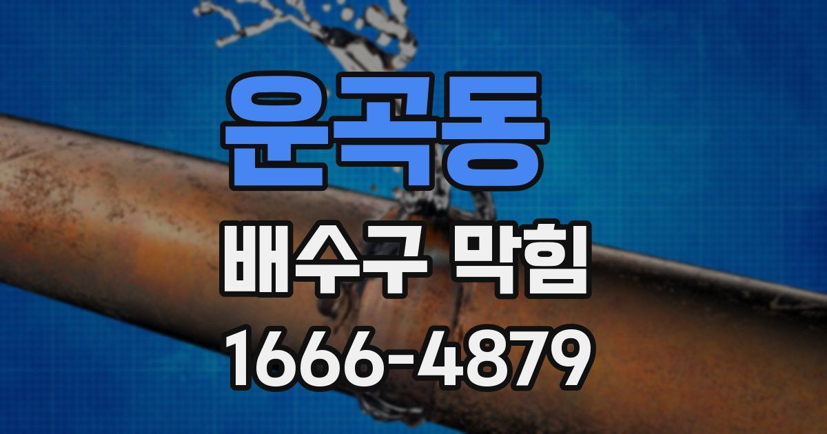 운곡동 배수구 막힘
