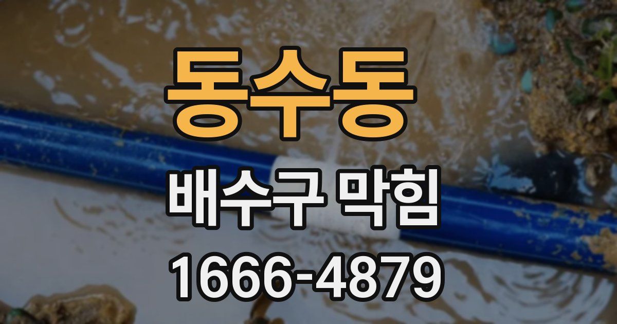 동수동 배수구 막힘