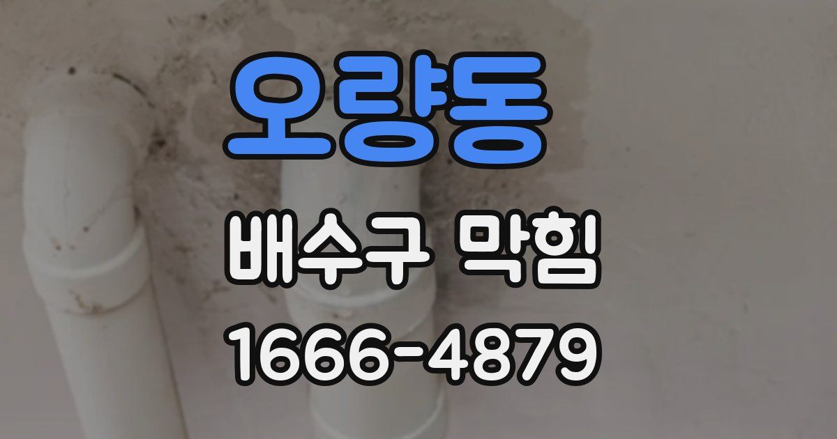 오량동 배수구 막힘