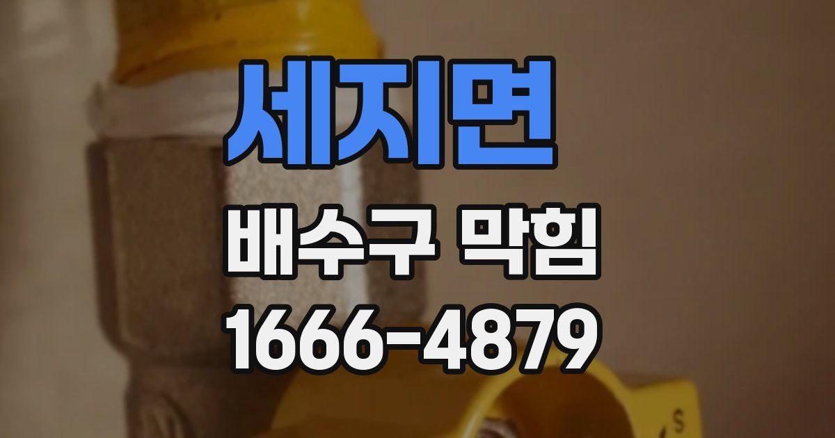 세지면 배수구 막힘