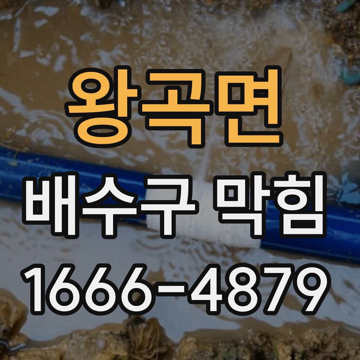 왕곡면 배수구 막힘