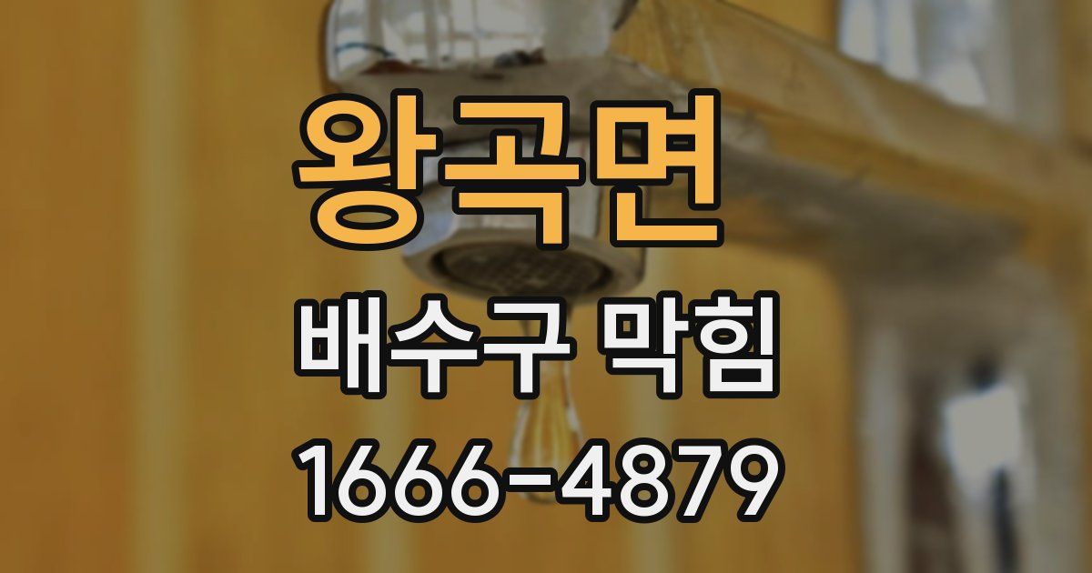 왕곡면 배수구 막힘
