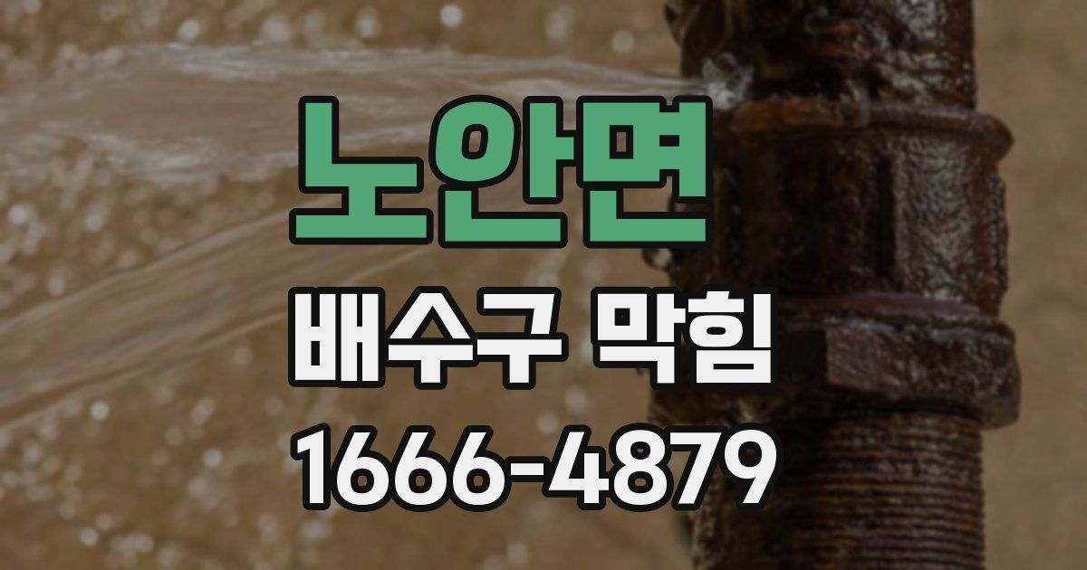 노안면 배수구 막힘