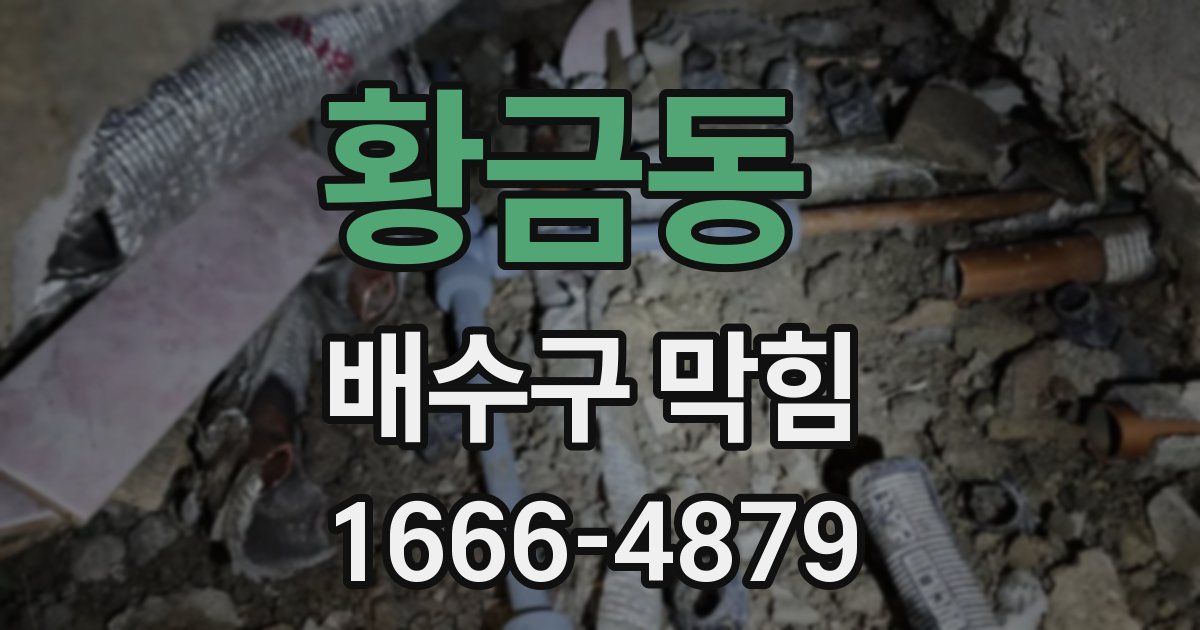 황금동 배수구 막힘