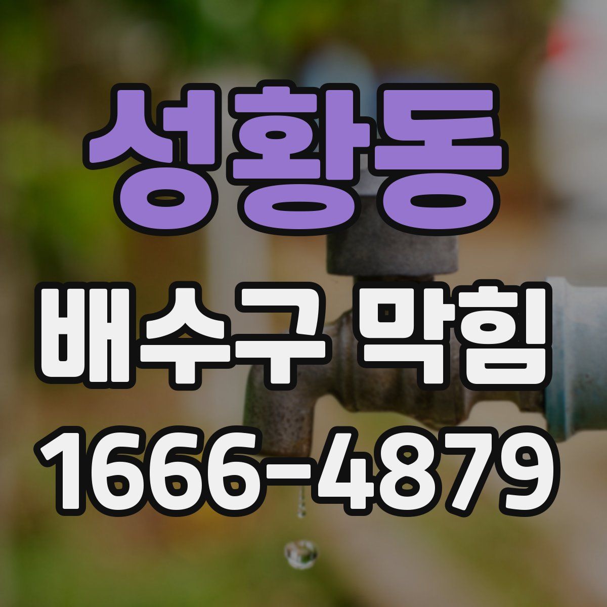 성황동 배수구 막힘