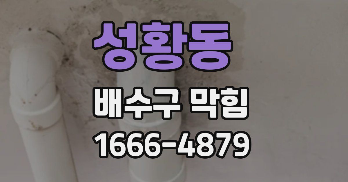 성황동 배수구 막힘