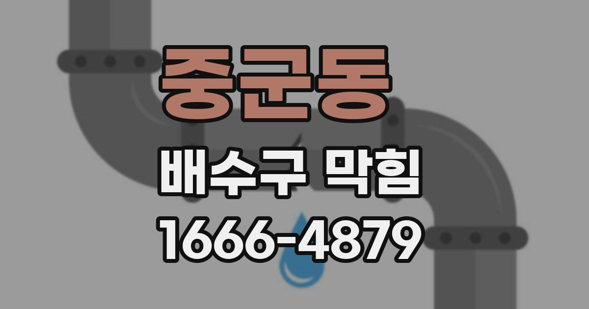 중군동 배수구 막힘