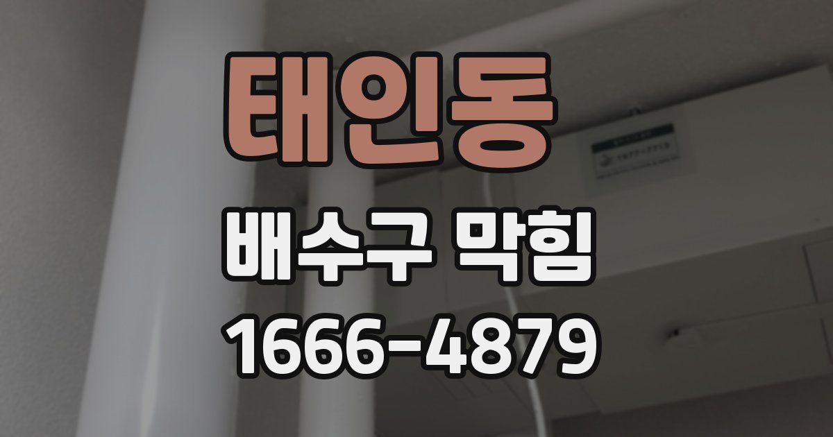 태인동 배수구 막힘