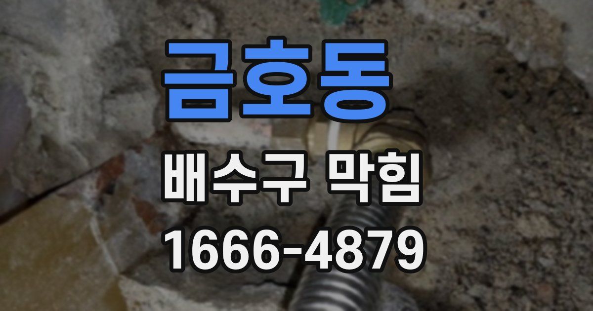 금호동 배수구 막힘