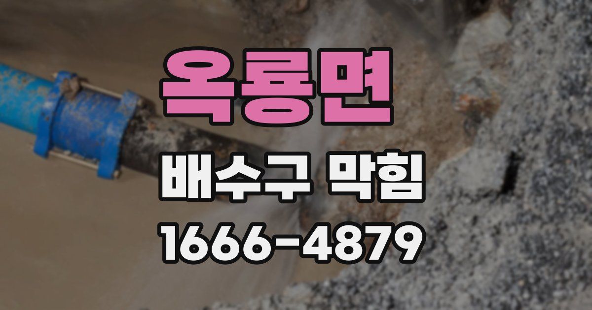 옥룡면 배수구 막힘