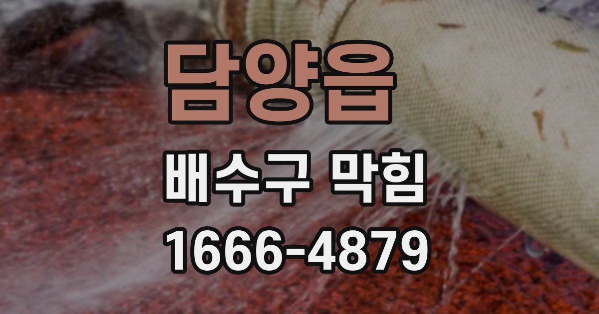 담양읍 배수구 막힘