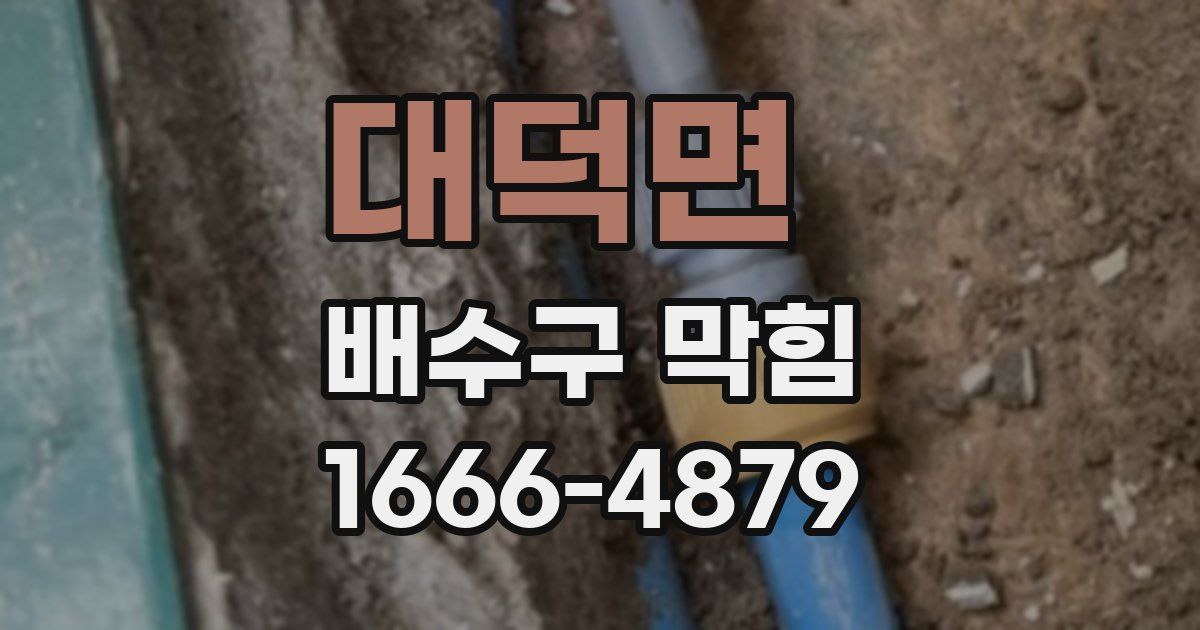 대덕면 배수구 막힘