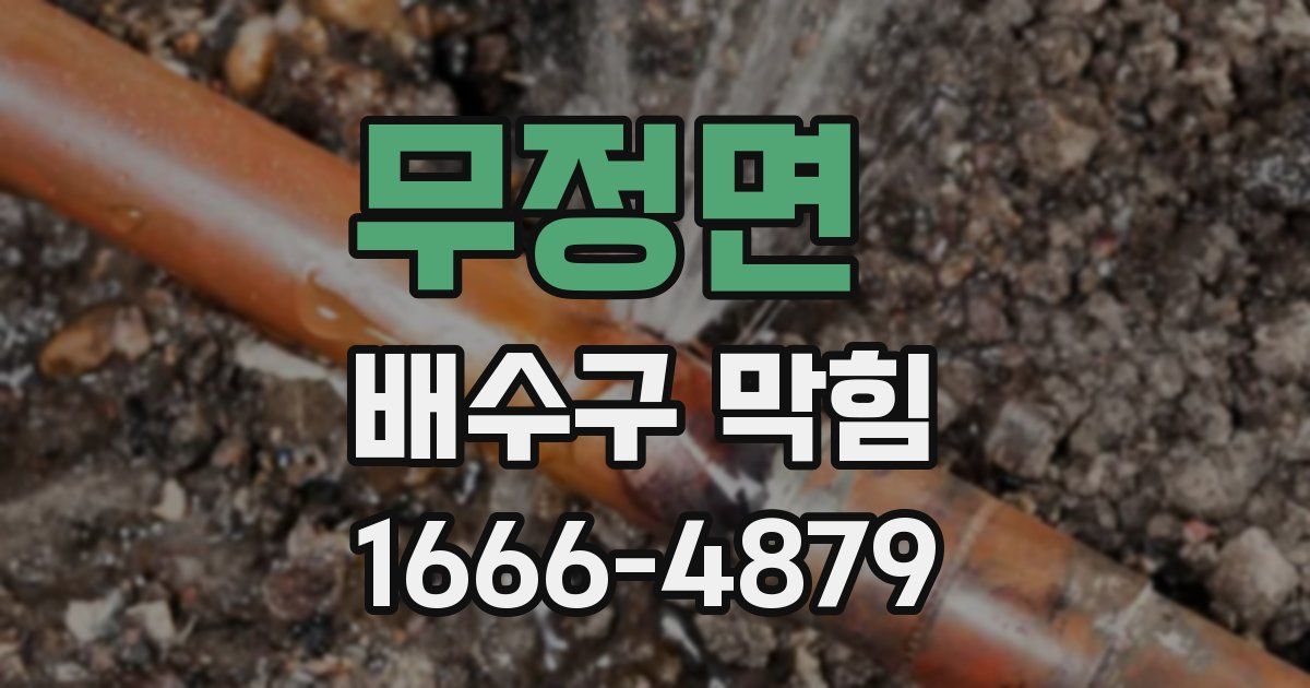 무정면 배수구 막힘