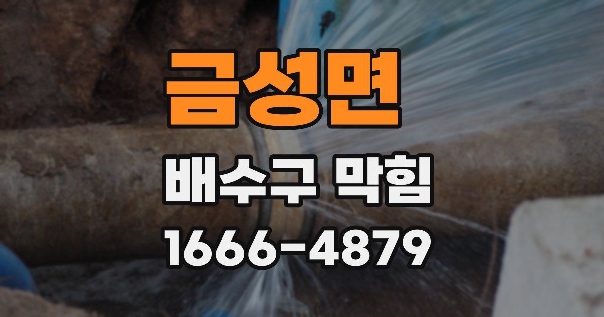 금성면 배수구 막힘