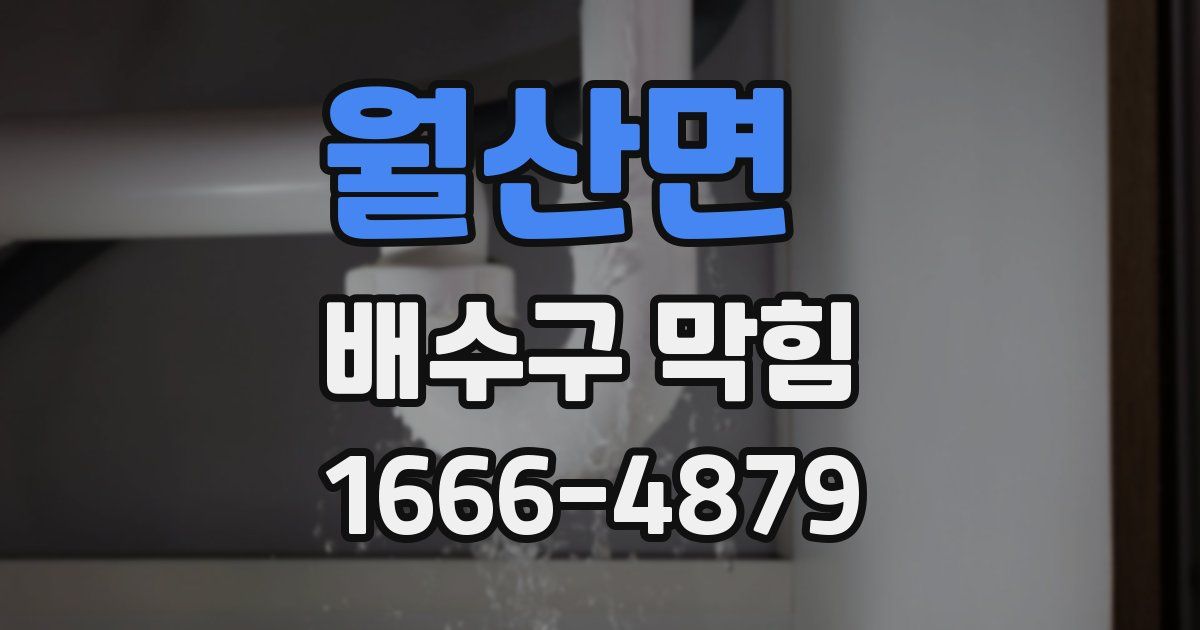 월산면 배수구 막힘