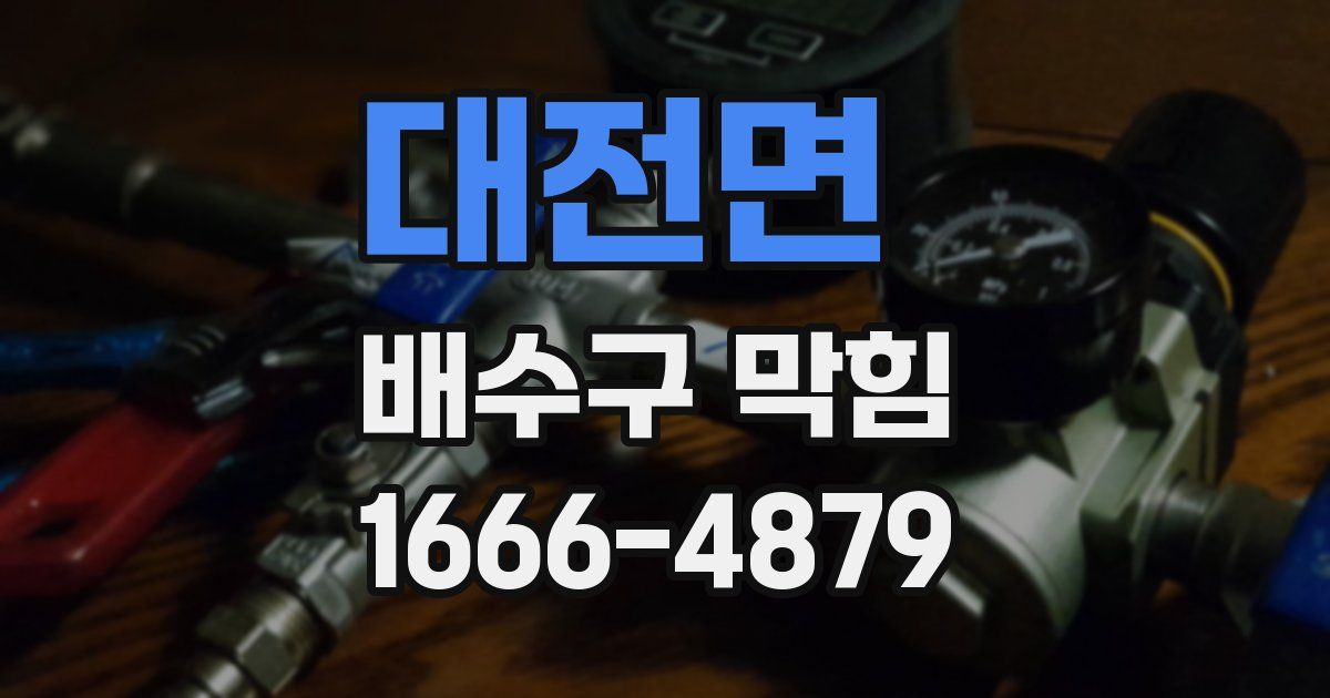 대전면 배수구 막힘