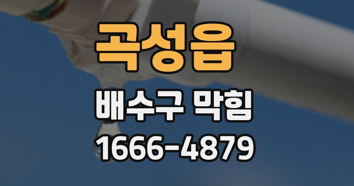 곡성읍 배수구 막힘