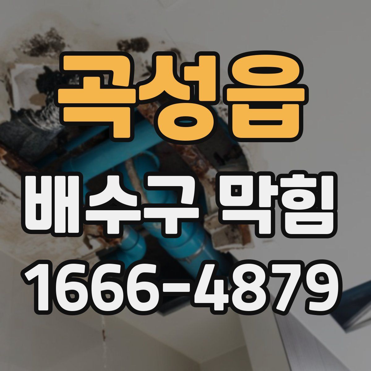 곡성읍 배수구 막힘
