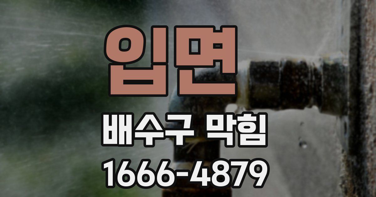 입면 배수구 막힘