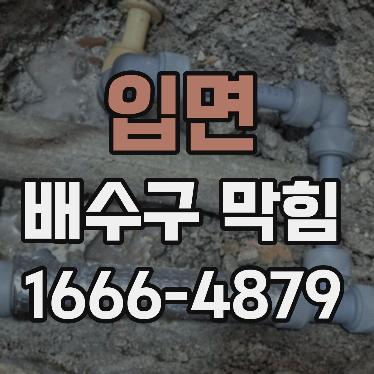 입면 배수구 막힘