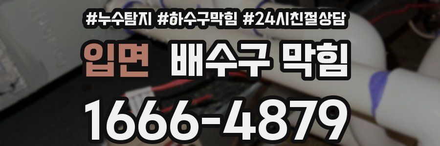 입면 배수구 막힘