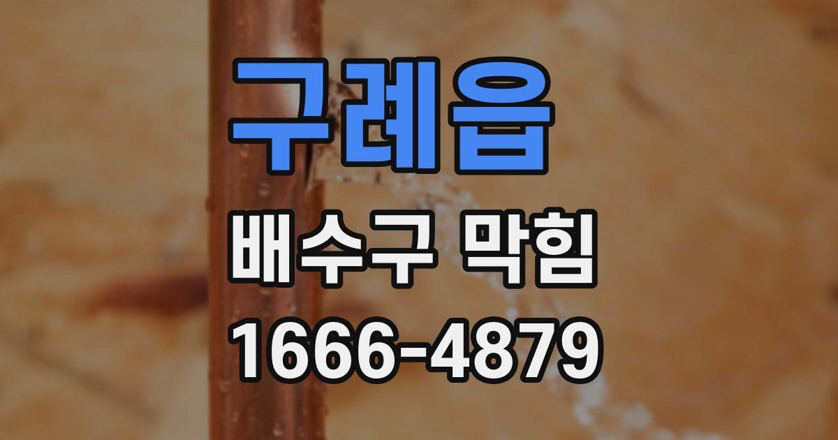 구례읍 배수구 막힘