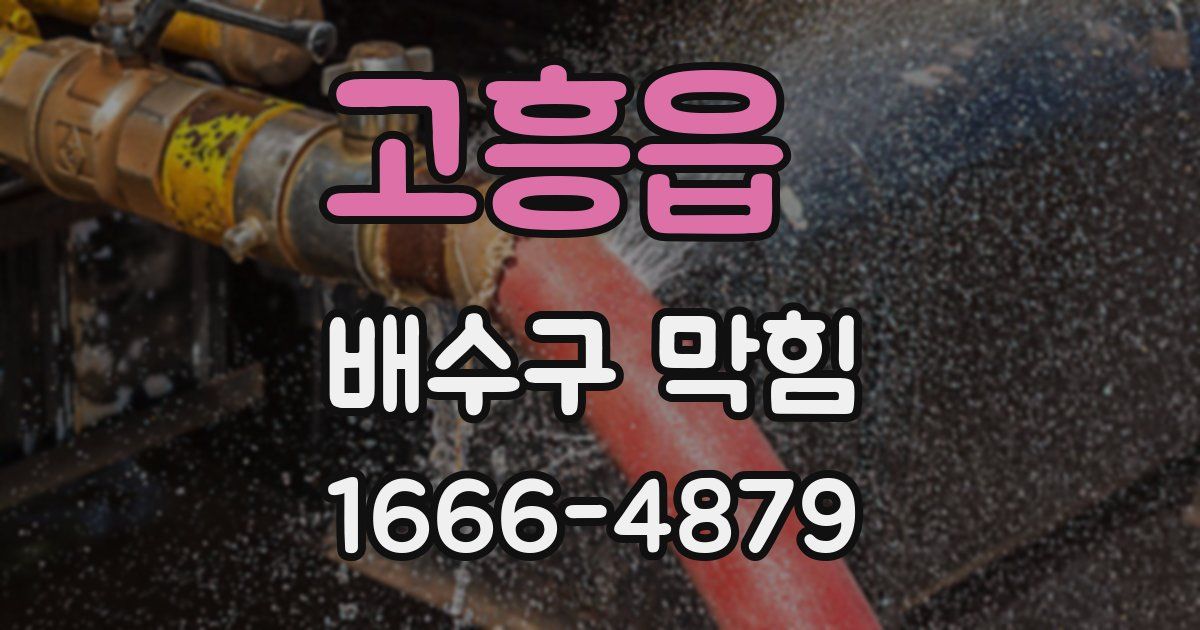 고흥읍 배수구 막힘