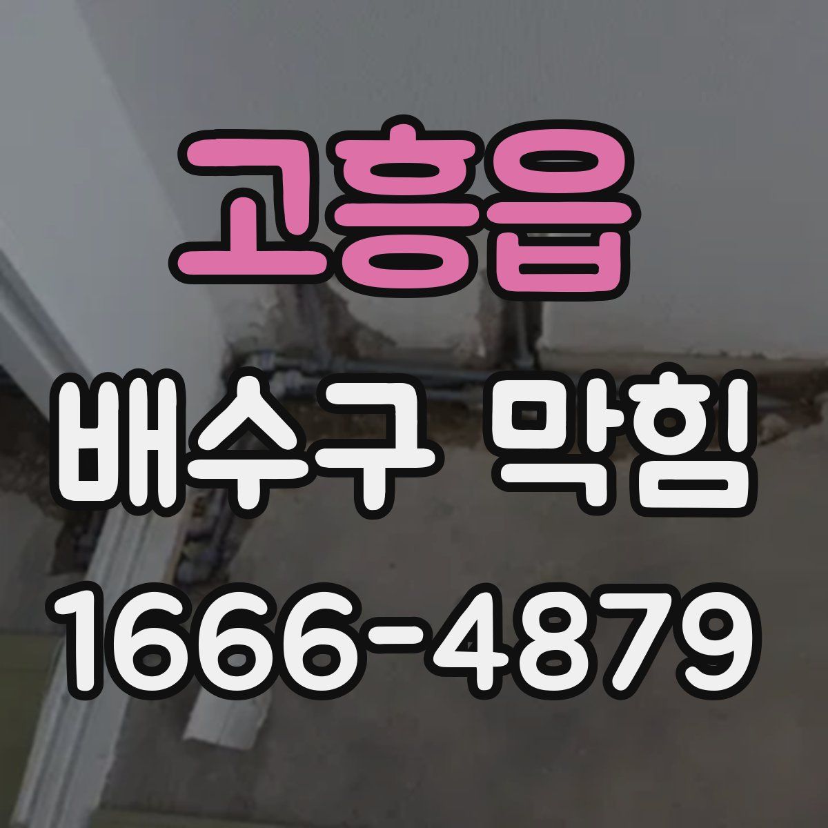 고흥읍 배수구 막힘