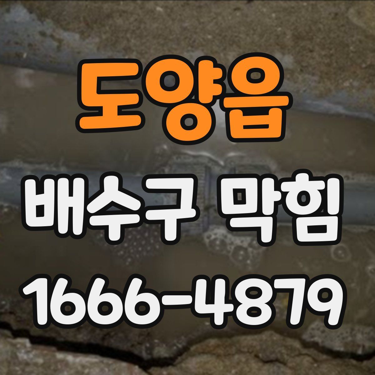 도양읍 배수구 막힘