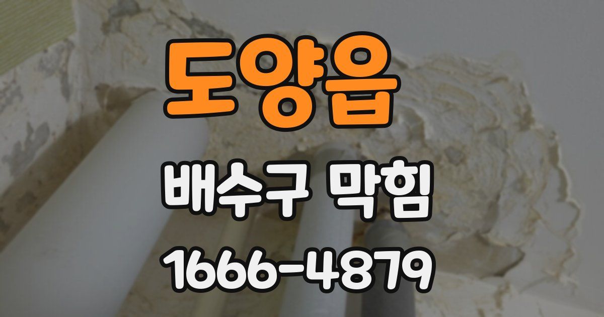 도양읍 배수구 막힘