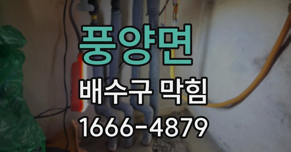 풍양면 배수구 막힘