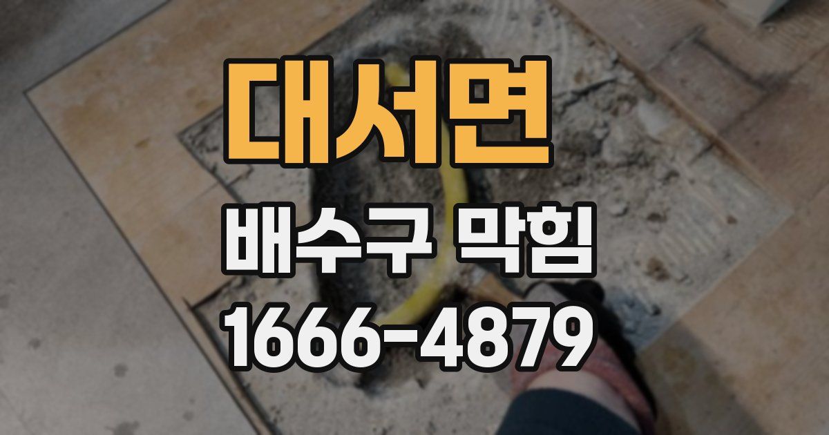 대서면 배수구 막힘