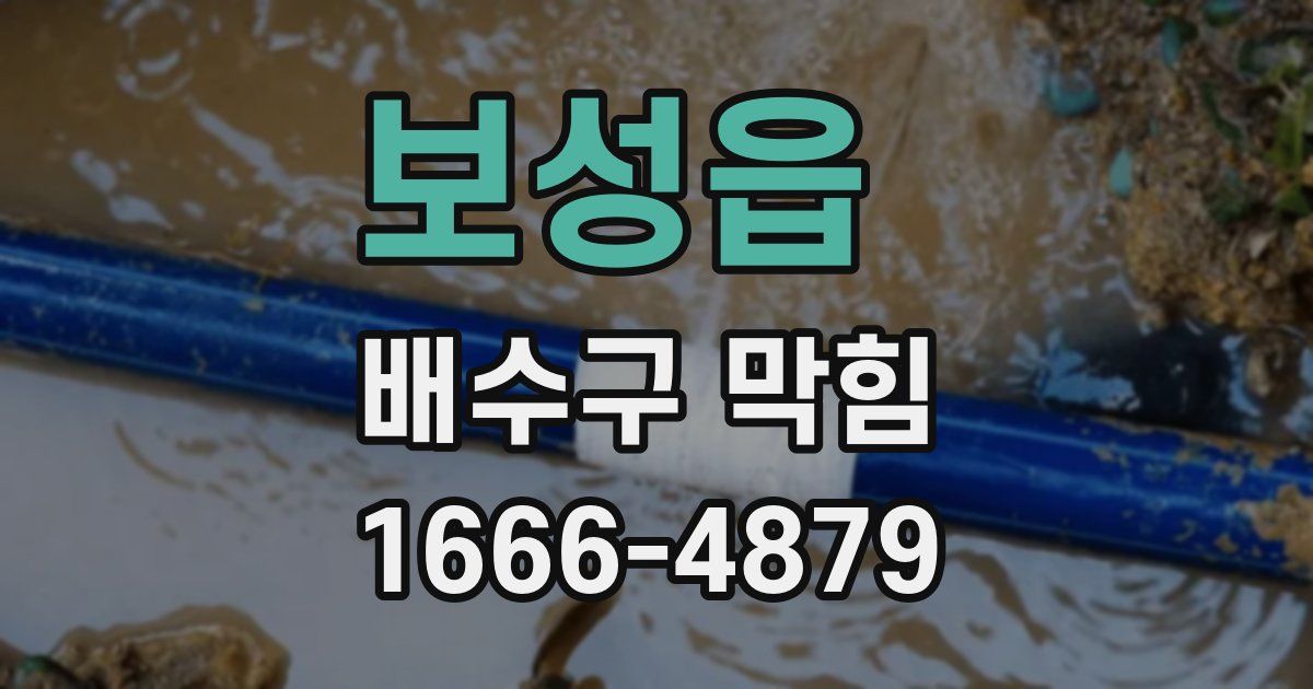 보성읍 배수구 막힘