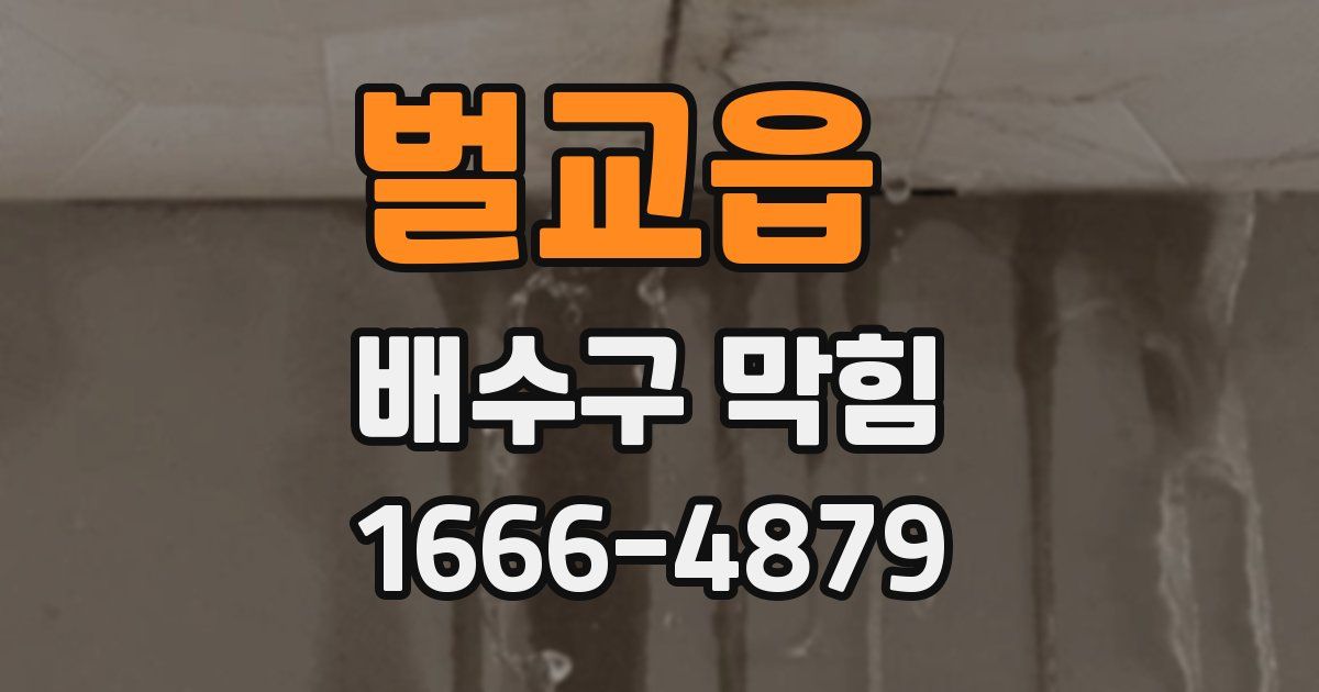 벌교읍 배수구 막힘