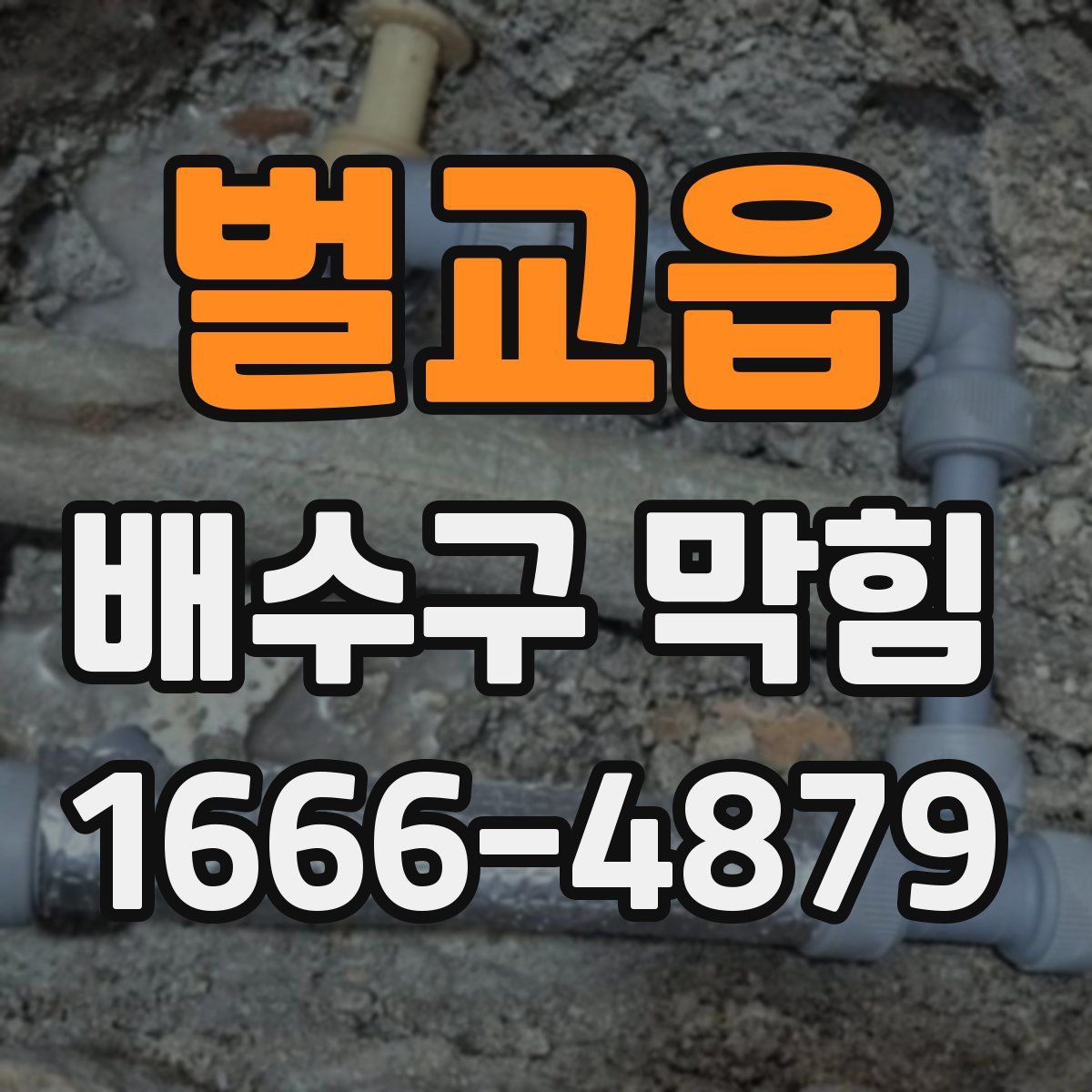 벌교읍 배수구 막힘